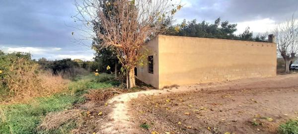 Terreno en Almoradí photo 2