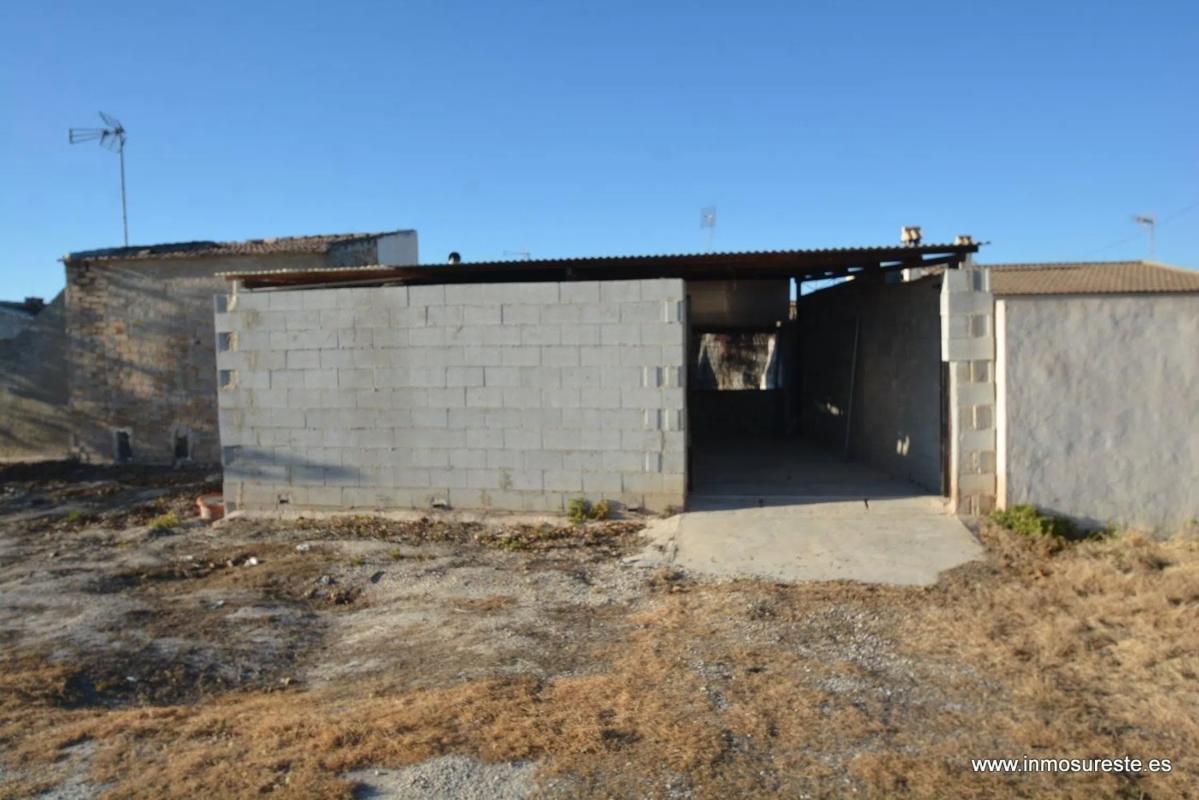 Land for sale in Benejuzar, Alicante photo 4