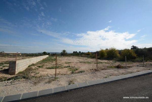 Terreno en Bigastro photo 2