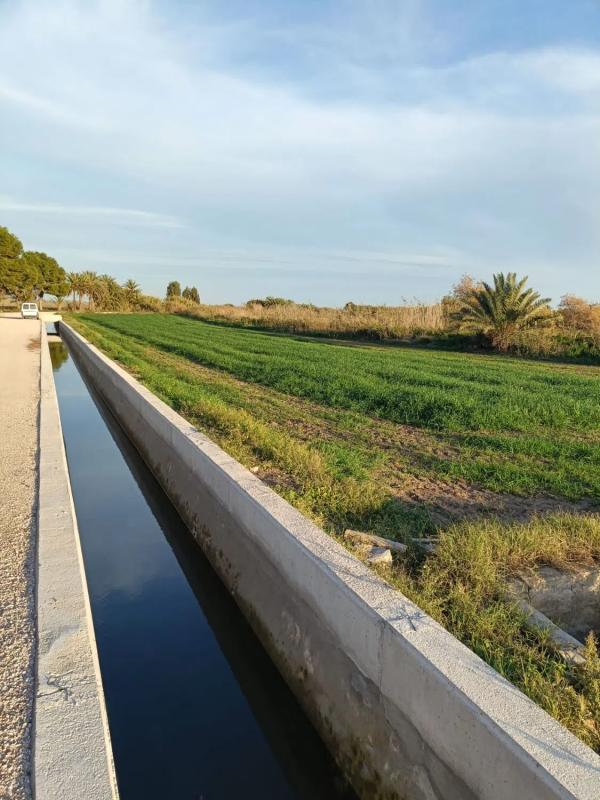 Terreno en venta en Catral, Alicante photo 3