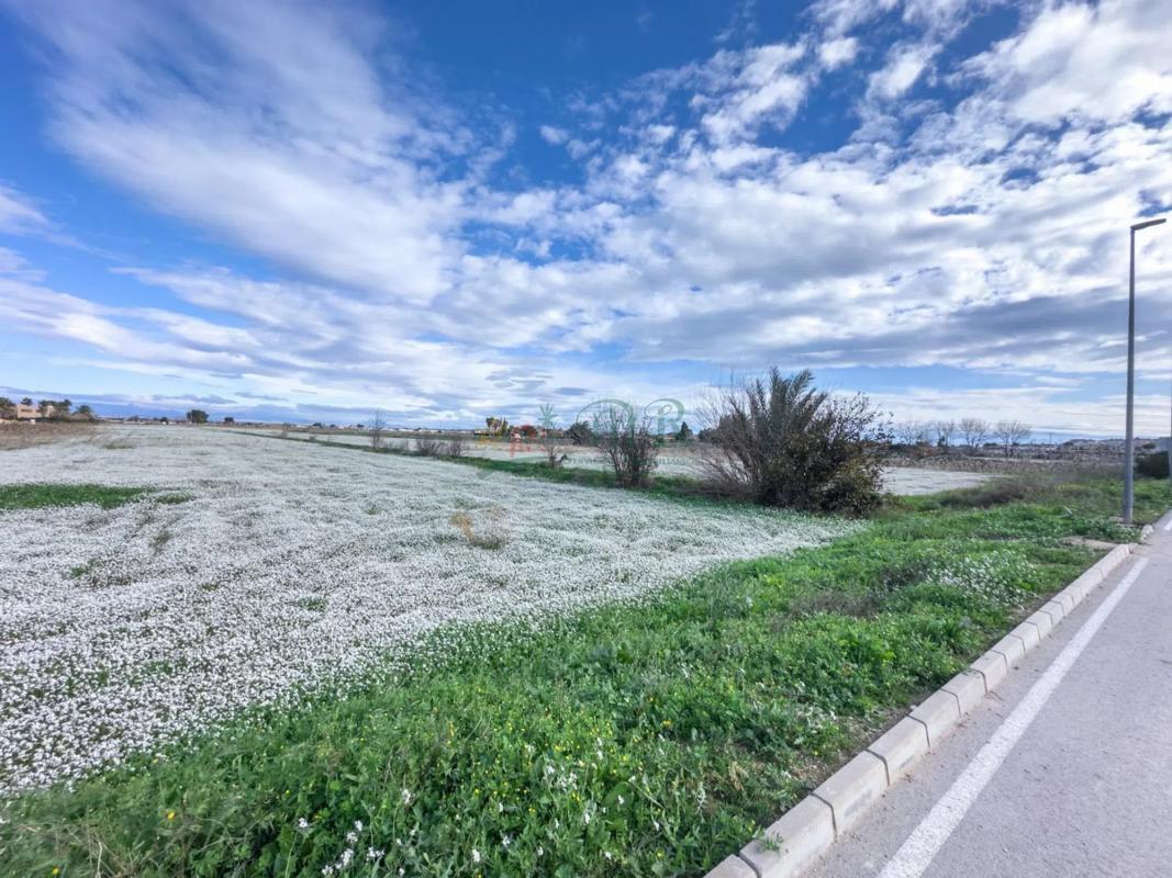 Terreno en venta en Daya Vieja, Alicante photo 4