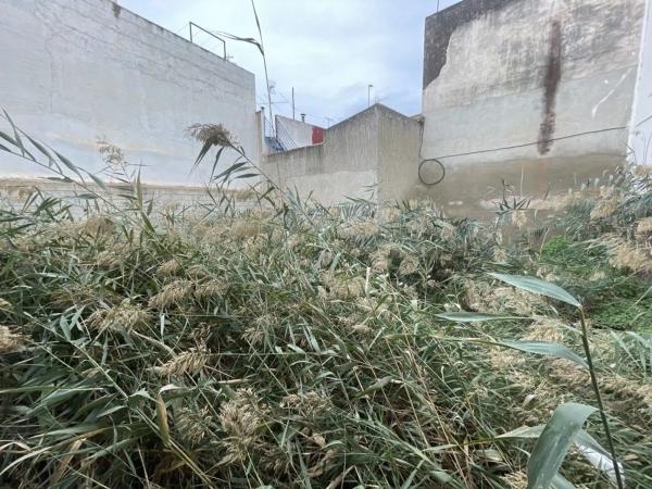 Terreno en calle Colón photo 3