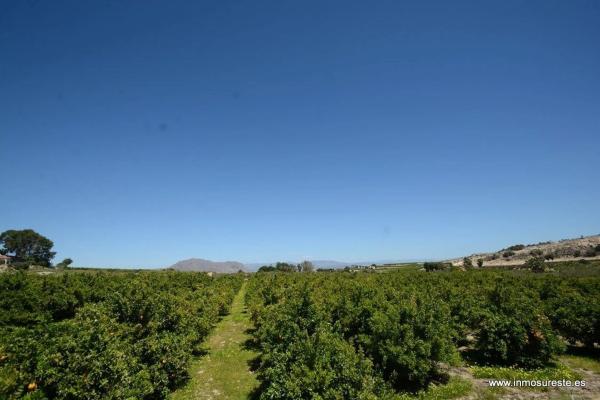 Terreno en Jacarilla photo 1