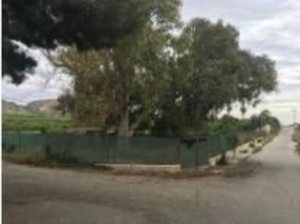 Terreno en Jacarilla photo 3