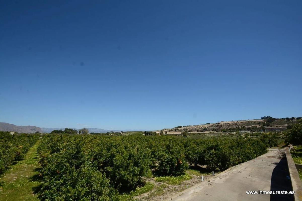 Terreno en venta en Jacarilla, Alicante photo 2