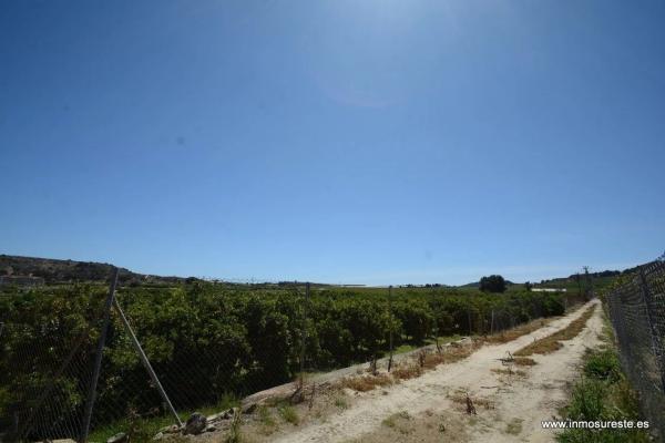 Terreno en Jacarilla photo 4