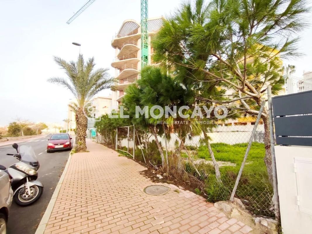 Terreno en venta en Guardamar del Segura, Alicante photo 3