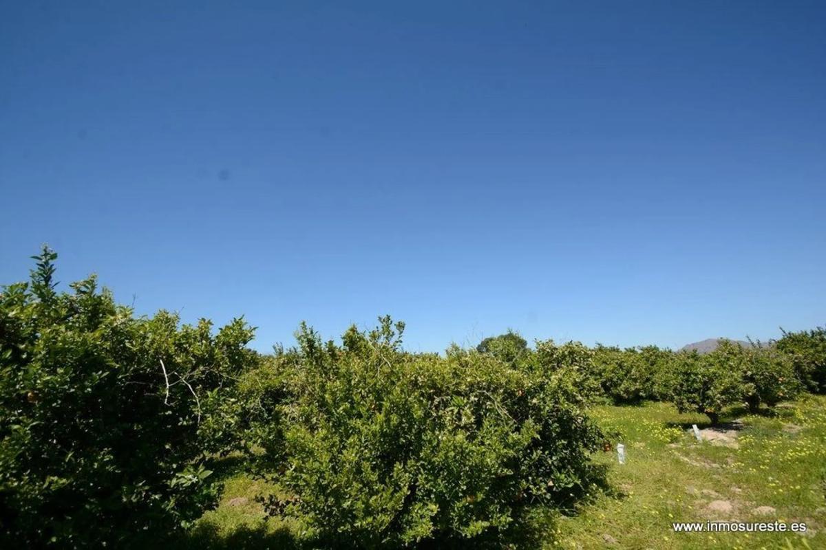 Terreno en venta en Jacarilla, Alicante photo 5