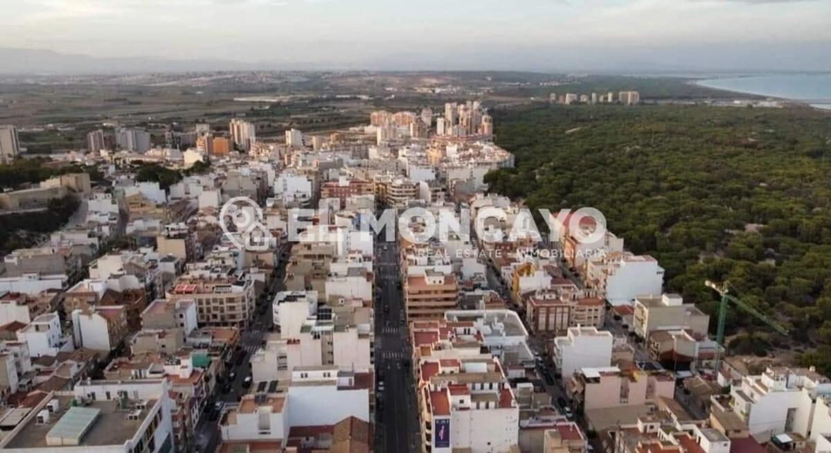 Terreno en venta en Guardamar del Segura, Alicante photo 5