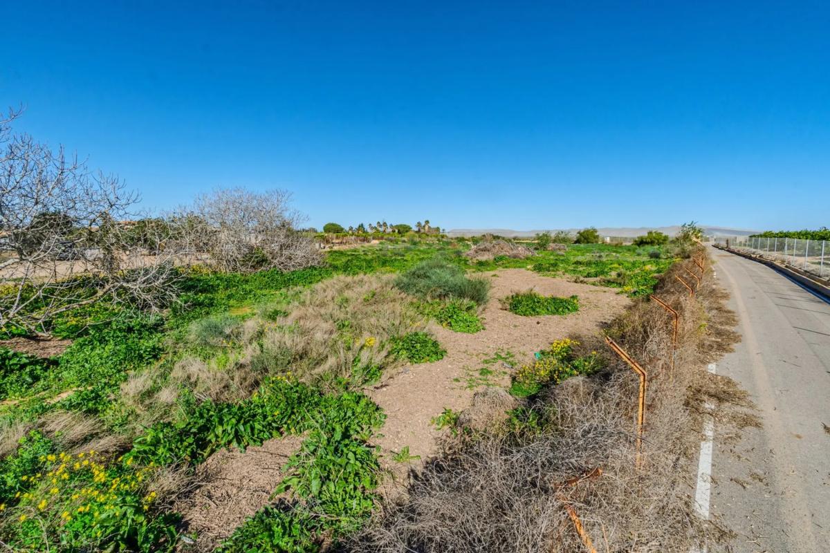 Land for sale in Los Montesinos, Alicante photo 1
