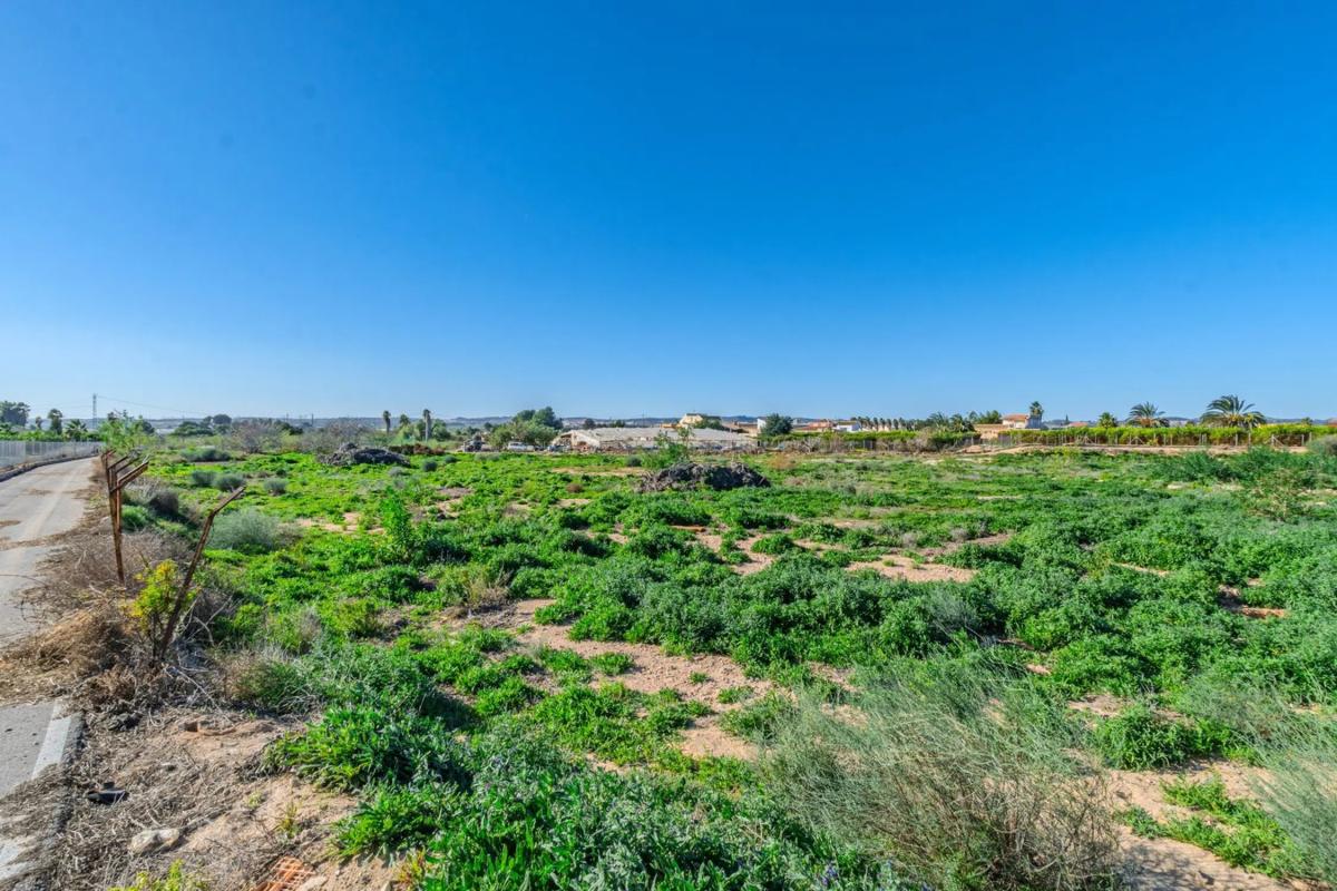 Land for sale in Los Montesinos, Alicante photo 2