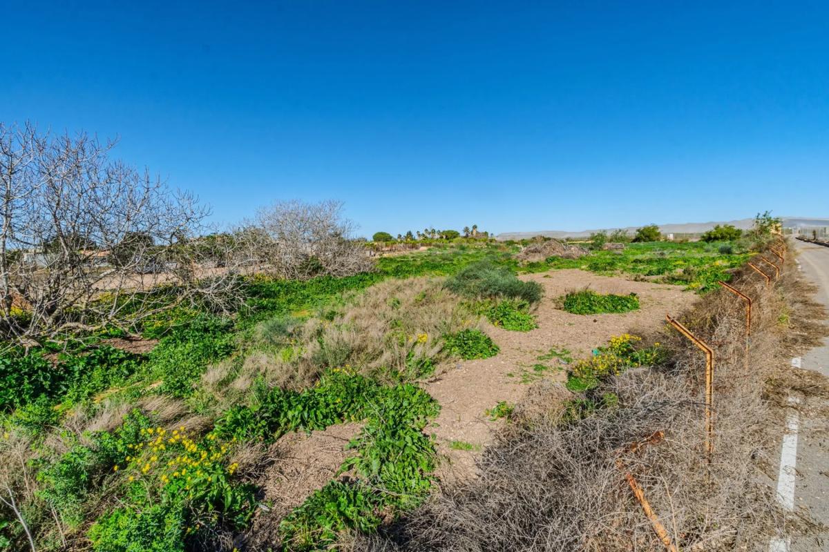 Land for sale in Los Montesinos, Alicante photo 3