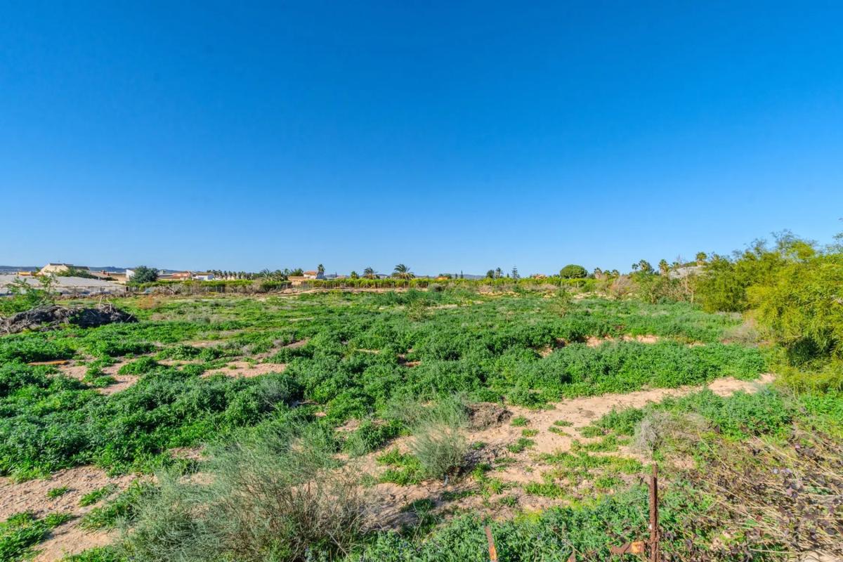 Land for sale in Los Montesinos, Alicante photo 4