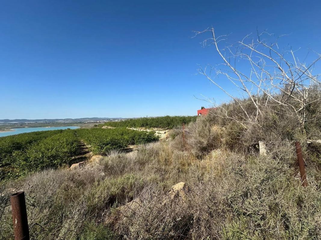 Terreno en venta en Orihuela, Alicante photo 5