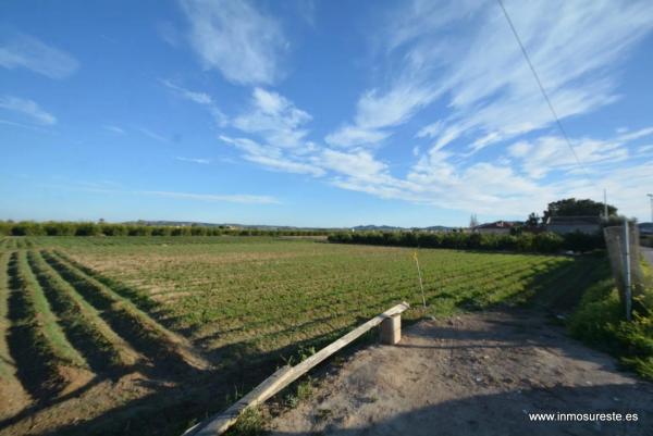 Terreno en Molins-Campaneta-San Bartolomé photo 2