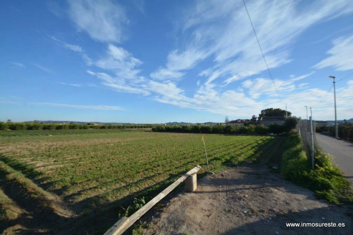 Land for sale in Orihuela, Alicante photo 3