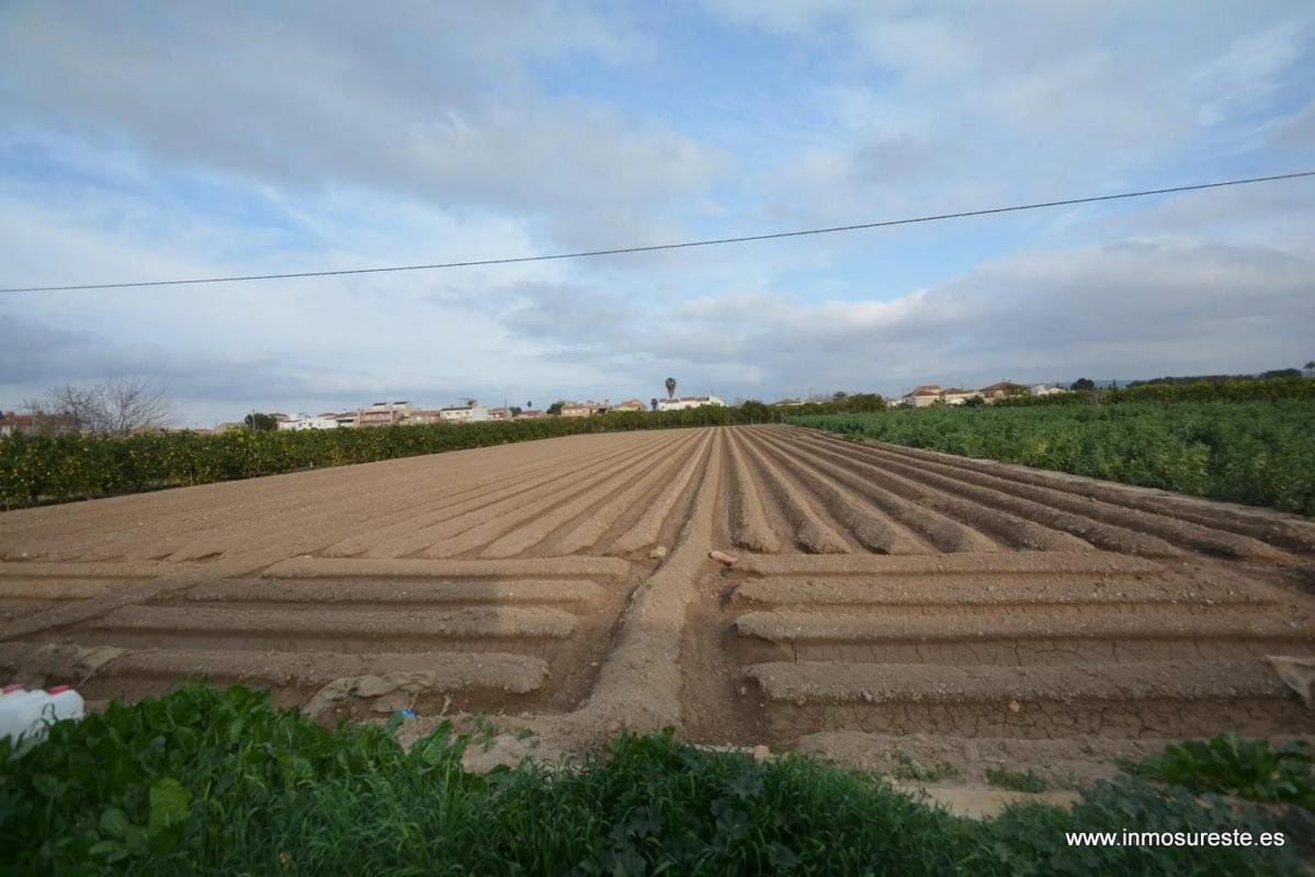 Land for sale in Orihuela, Alicante photo 3