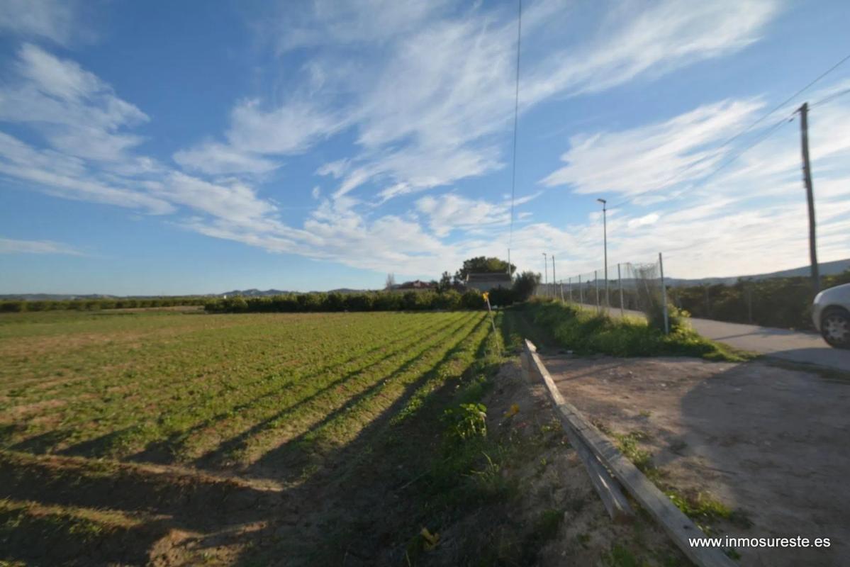 Land for sale in Orihuela, Alicante photo 4
