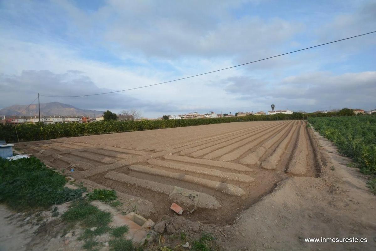 Land for sale in Orihuela, Alicante photo 4