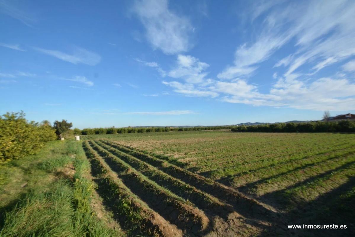 Land for sale in Orihuela, Alicante photo 5