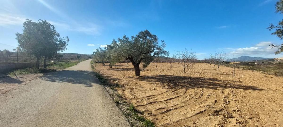 Terreno en venta en Orihuela, Alicante photo 2