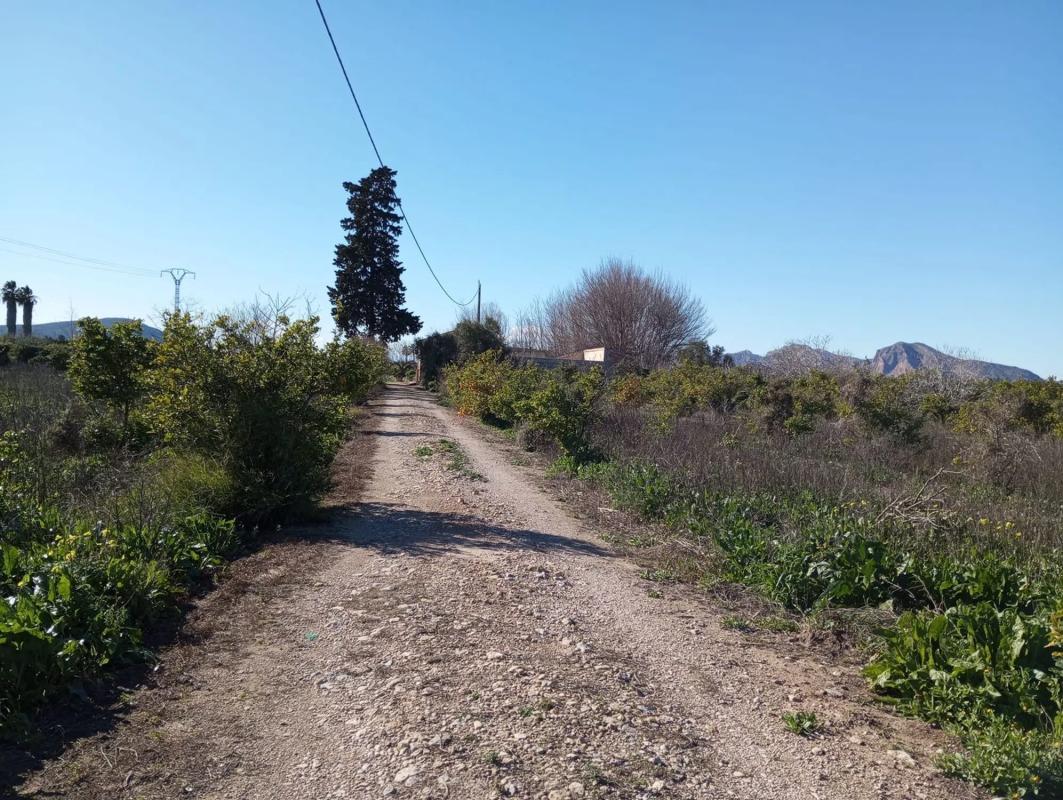Terreno en venta en Orihuela, Alicante photo 3