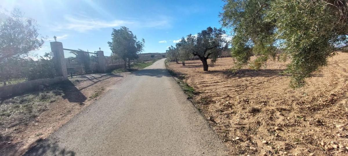 Terreno en venta en Orihuela, Alicante photo 3