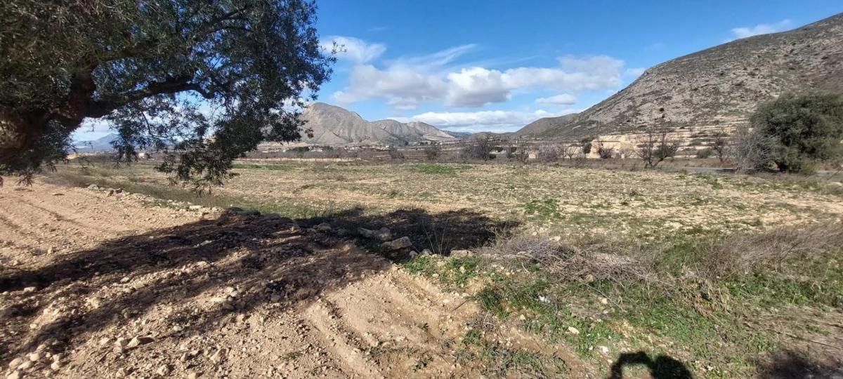 Terreno en venta en Orihuela, Alicante photo 4