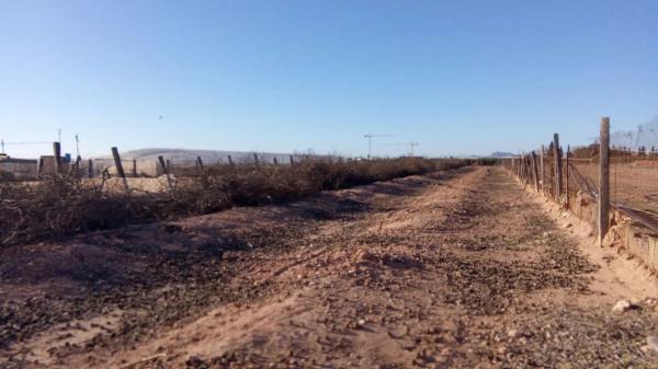 Terreno en Zona Pueblo thumbnail 2