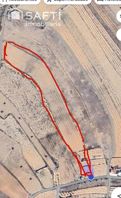 Land for sale in Crevillente, Alicante photo 2