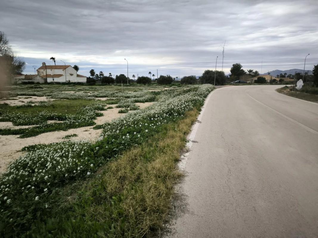 Działka na sprzedaż w Crevillente, Alicante photo 2