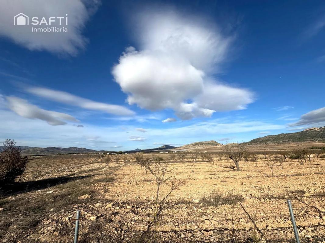 Land for sale in Crevillente, Alicante photo 3