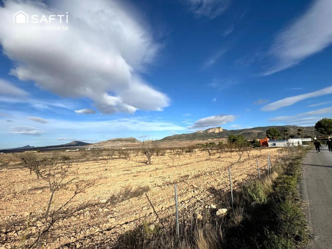 Land for sale in Crevillente, Alicante photo 5