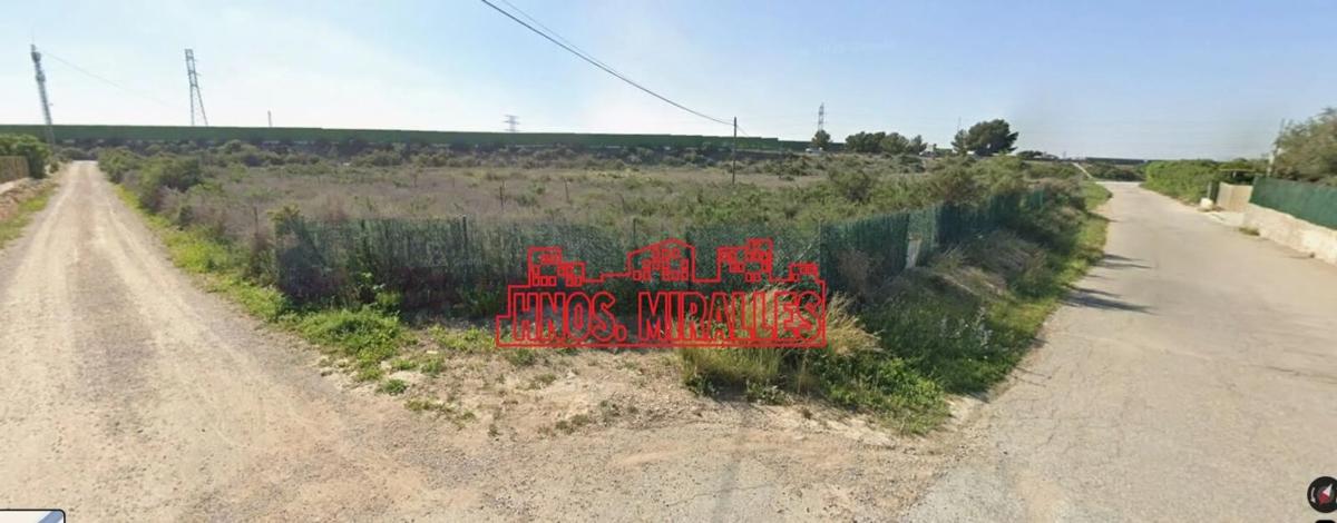 Działka na sprzedaż w Elche / Elx, Alicante photo 5