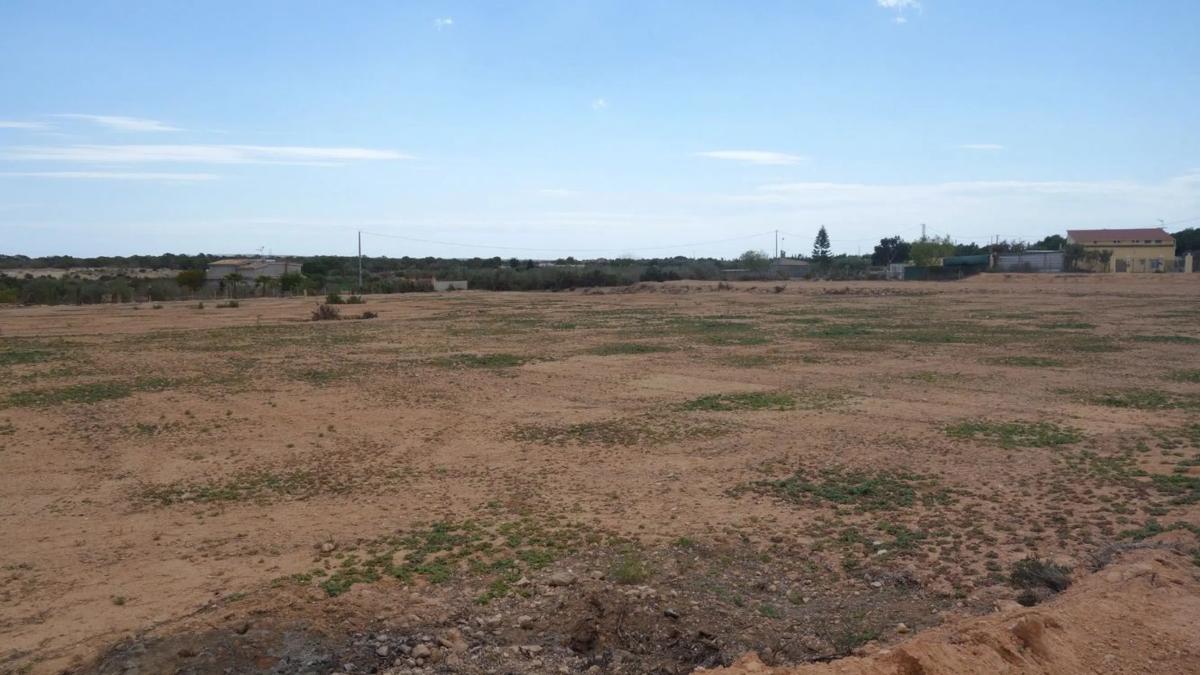 Terreno en venta en Elche / Elx, Alicante photo 2