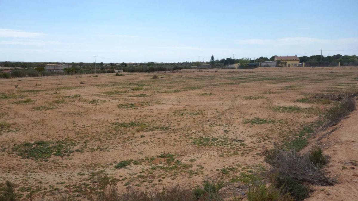 Terreno en venta en Elche / Elx, Alicante photo 3