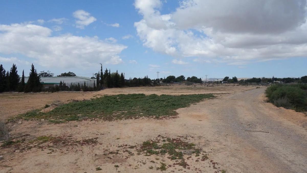 Terreno en venta en Elche / Elx, Alicante photo 4