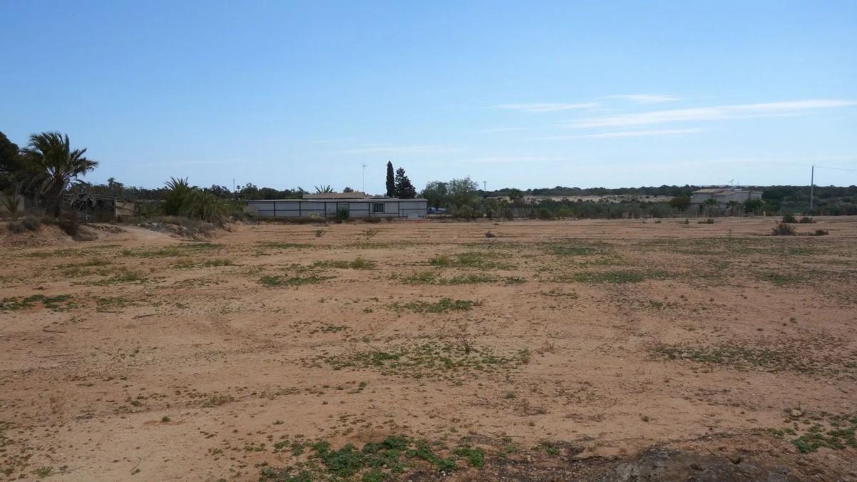 Terreno en venta en Elche / Elx, Alicante photo 5
