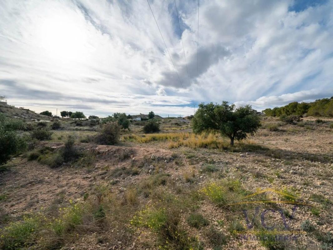 Terreno en venta en Elche / Elx, Alicante photo 1