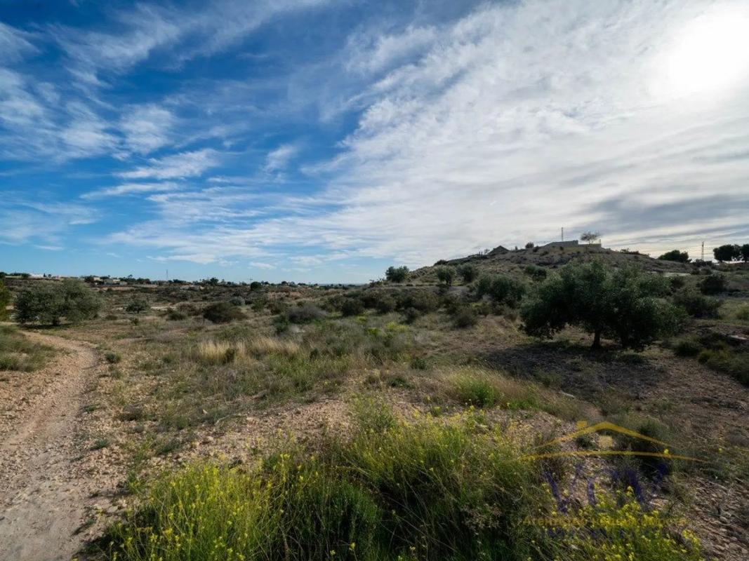 Terreno en venta en Elche / Elx, Alicante photo 2