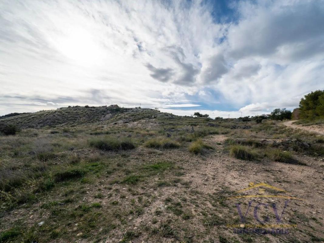 Terreno en venta en Elche / Elx, Alicante photo 3