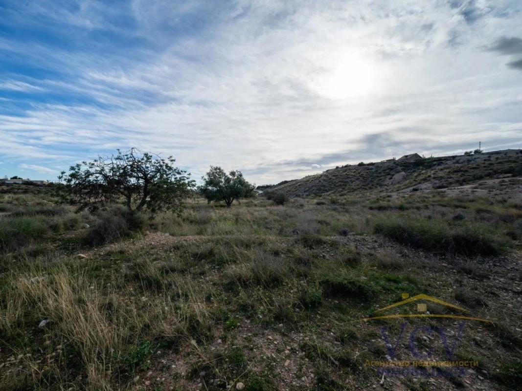 Terreno en venta en Elche / Elx, Alicante photo 4
