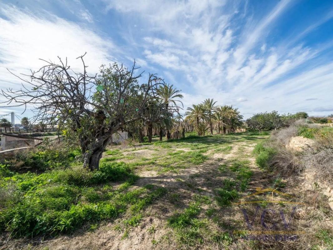 Terreno en venta en Elche / Elx, Alicante photo 5