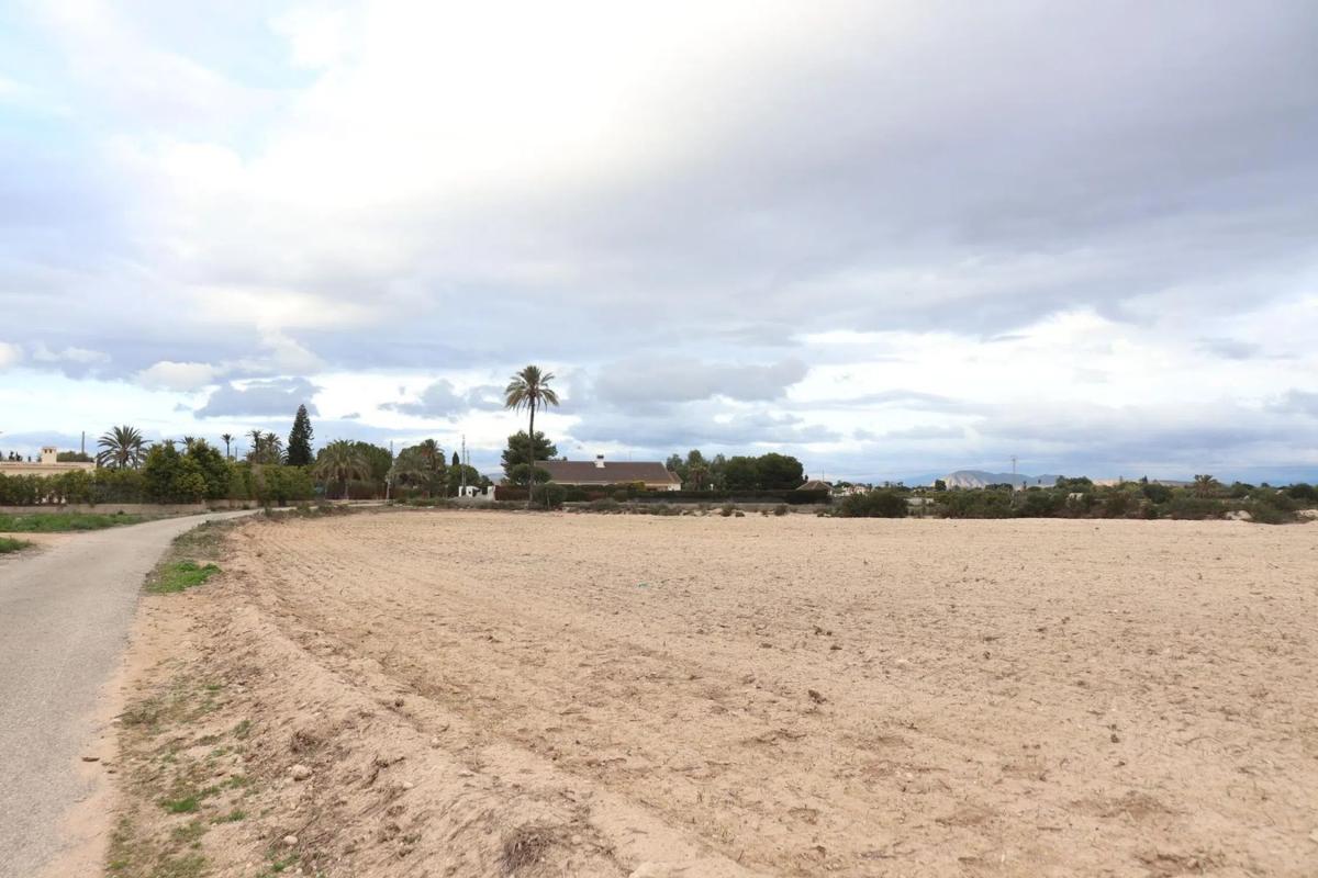 Land for sale in Elche / Elx, Alicante photo 2