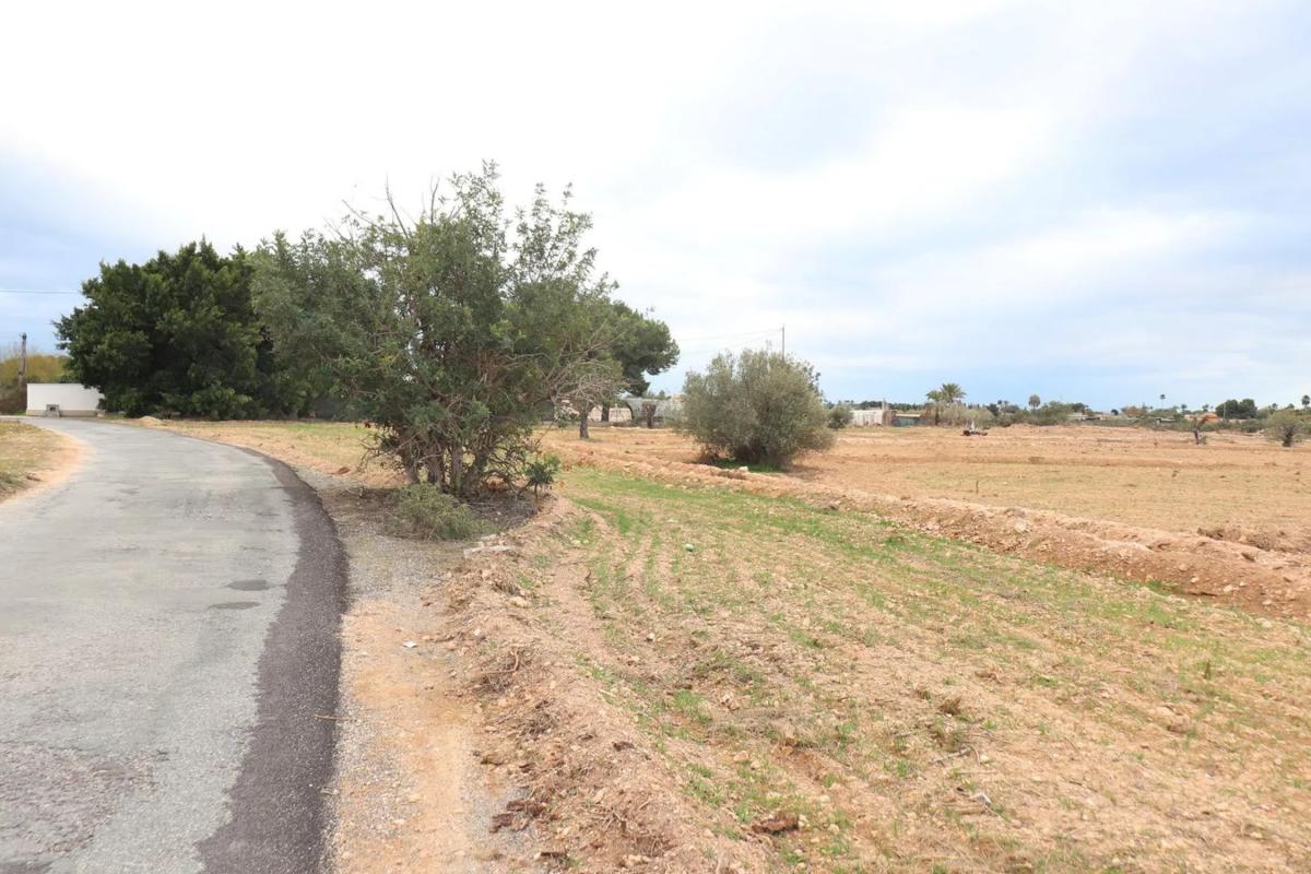 Land for sale in Elche / Elx, Alicante photo 2