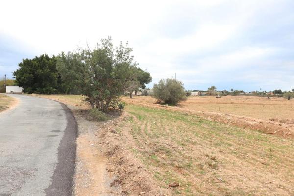 Terreno en Maitino-Perleta photo 2