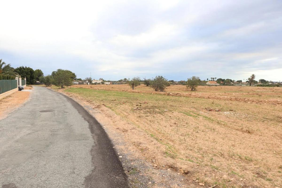 Land for sale in Elche / Elx, Alicante photo 3