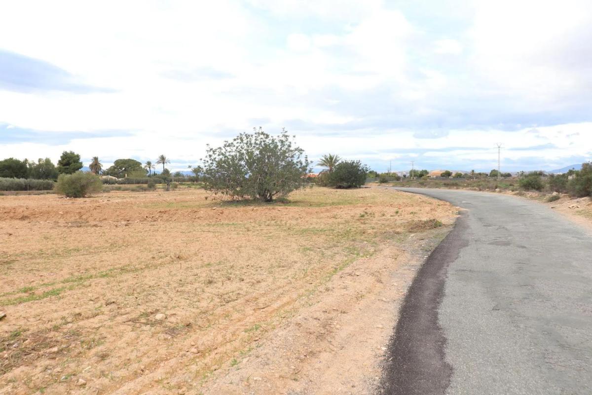 Land for sale in Elche / Elx, Alicante photo 3
