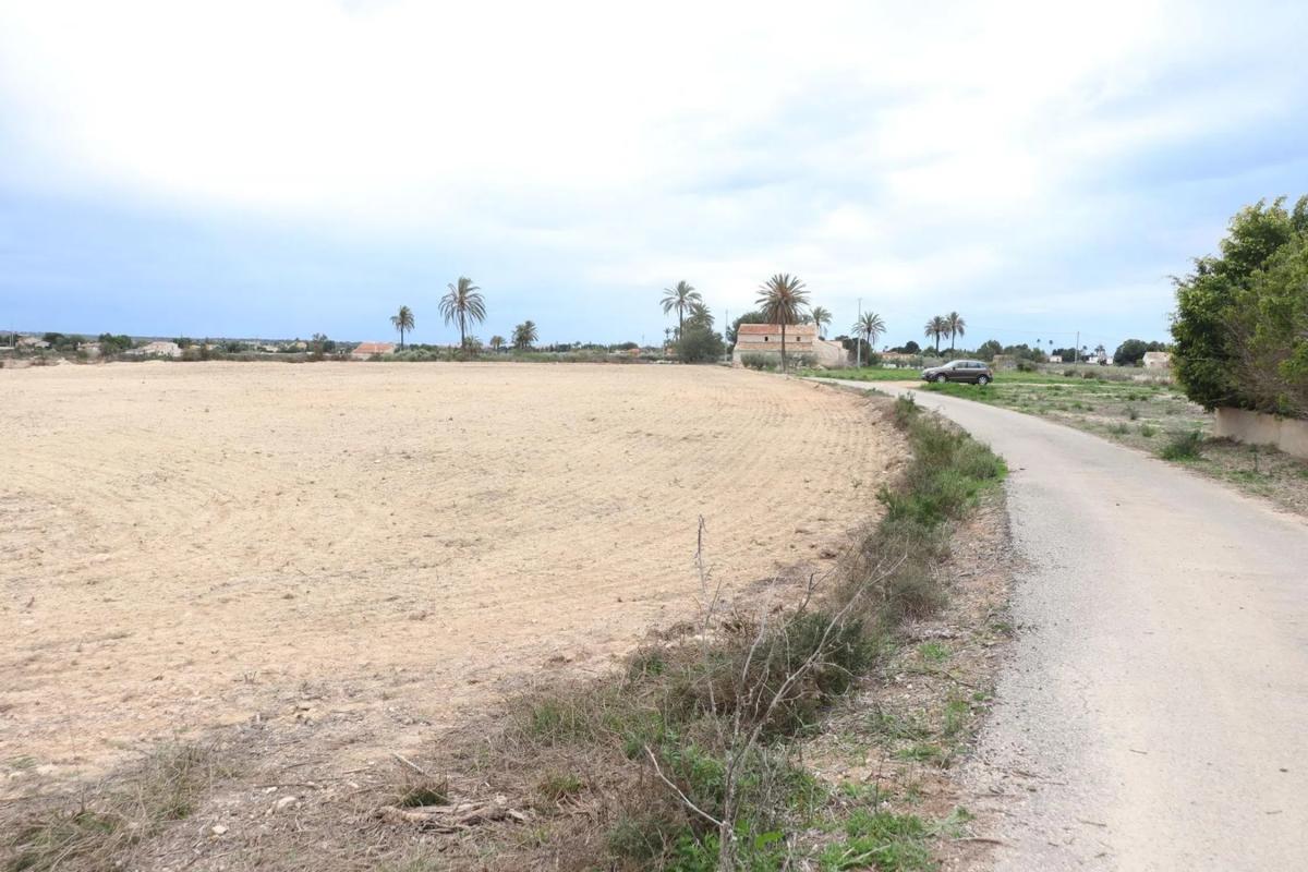 Land for sale in Elche / Elx, Alicante photo 4