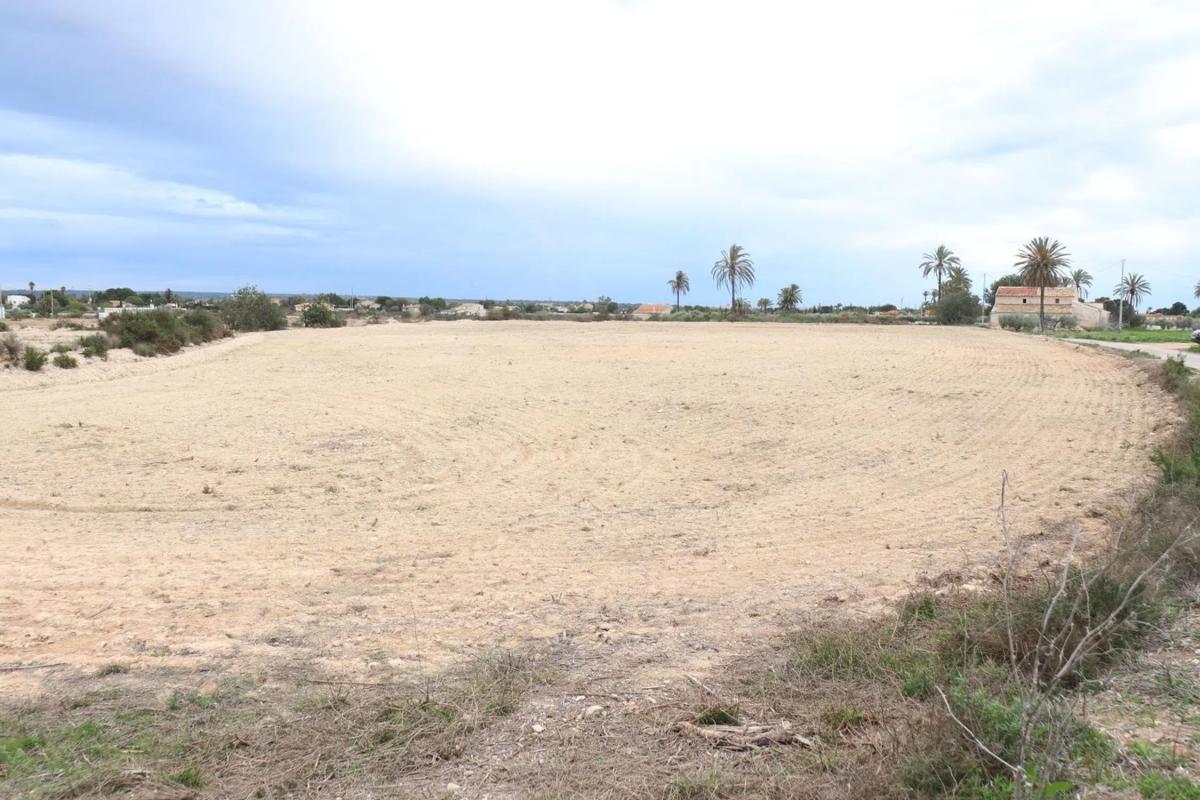 Land for sale in Elche / Elx, Alicante photo 5